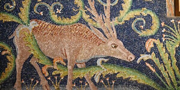 comme un cerf altéré cherche l'eau vive