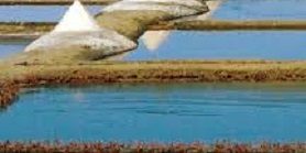 sel de la terre 2 sel de la terre 2